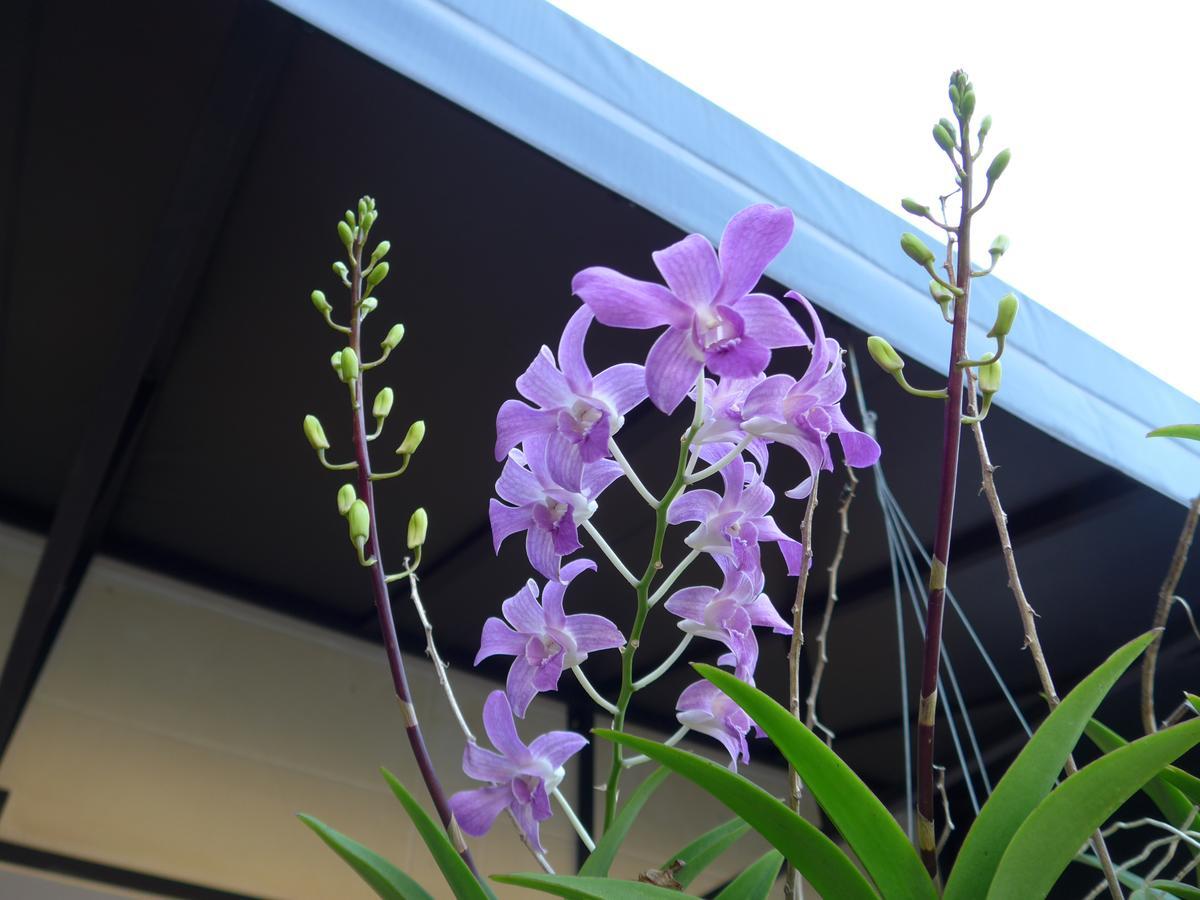 Forum House Hotel Krabi town Kültér fotó