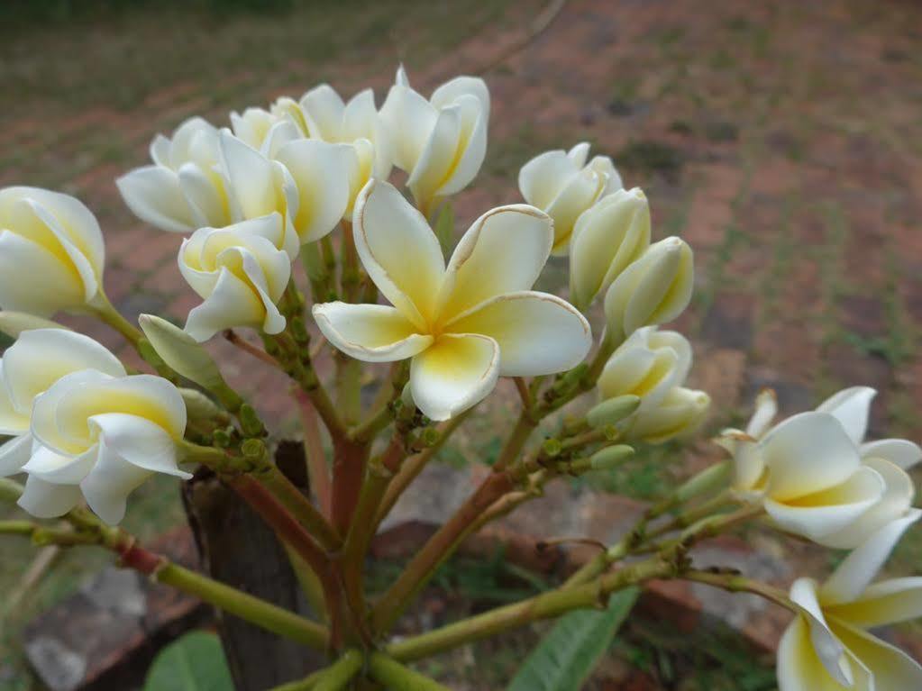 Forum House Hotel Krabi town Kültér fotó